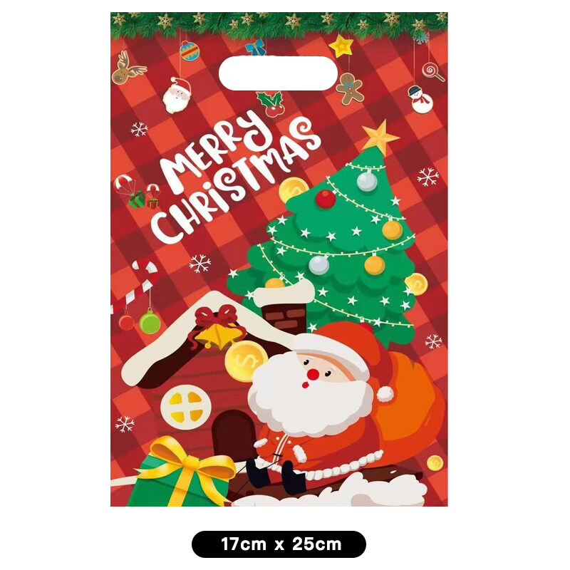 Merry Christmas Santa Plastic Loot Bags 10 Pack
