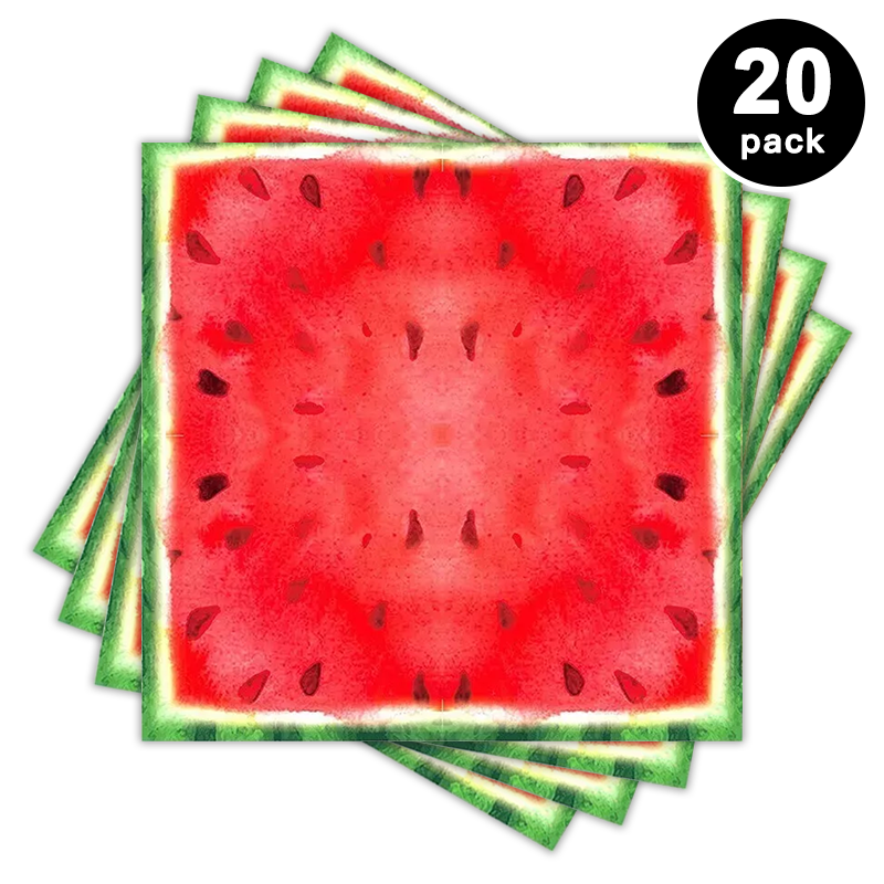 Watermelon Theme Luncheon Napkins 20 pack
