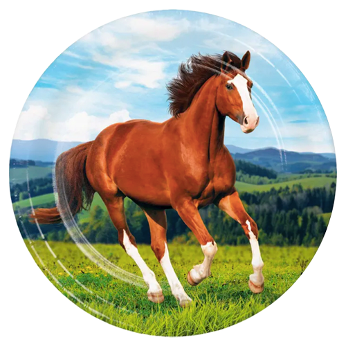 Horse Racing