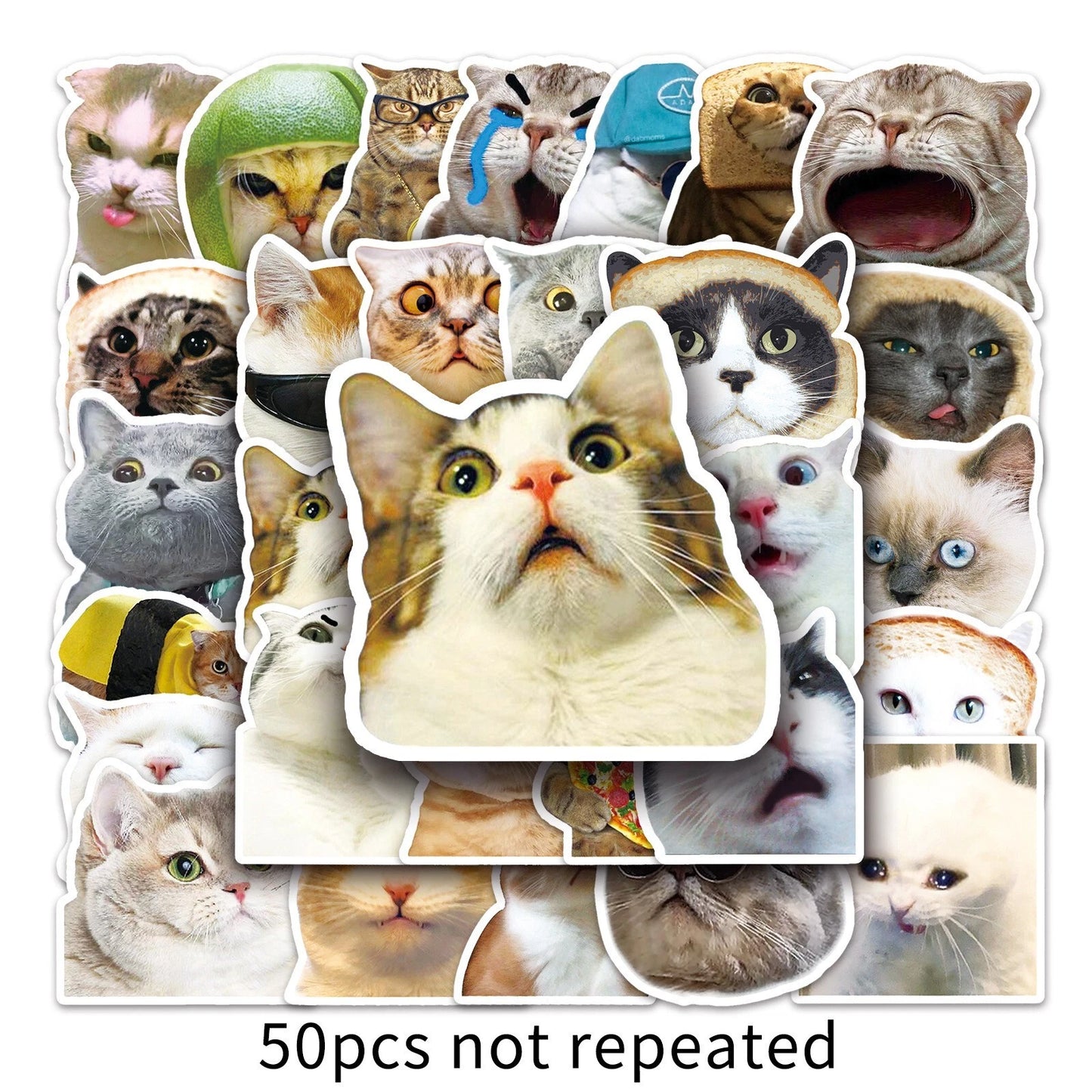 50pcs Cute Cat Theme Vinyl Stickers
